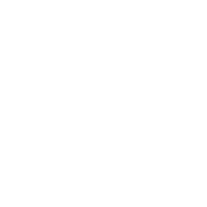 Garage Door Installation