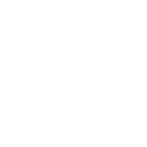 Garage Door Repair